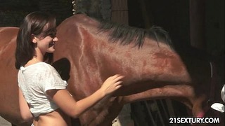 Rural Romance Lean 837