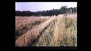 French, Italian and German lesbian scenes from 1979 part 02